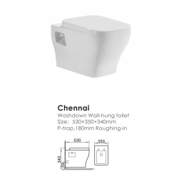 Set WC suspendat Chennai
